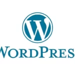 WordPress Güvenlik Önlemleri 2022