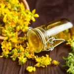 Sarı Kantaron Yağı Nedir, Faydaları Nelerdir?