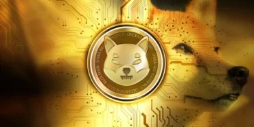 shiba coin geleceği