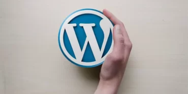 wordpress seo eklentisi