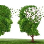 Demans Nedir Nasıl Anlaşılır |Demans İle Alzheimer Arası Farklar 2022