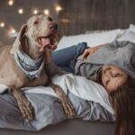 Tembellikten Kurtulmak İçin 10 Adımda Net Sonuç!