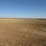 Ekonomik kriz tarlaları yabancılara sattırıyor