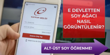 e-devlet-soy-agaci