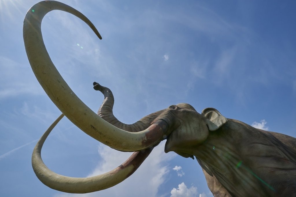 mamut-turdiriltimi