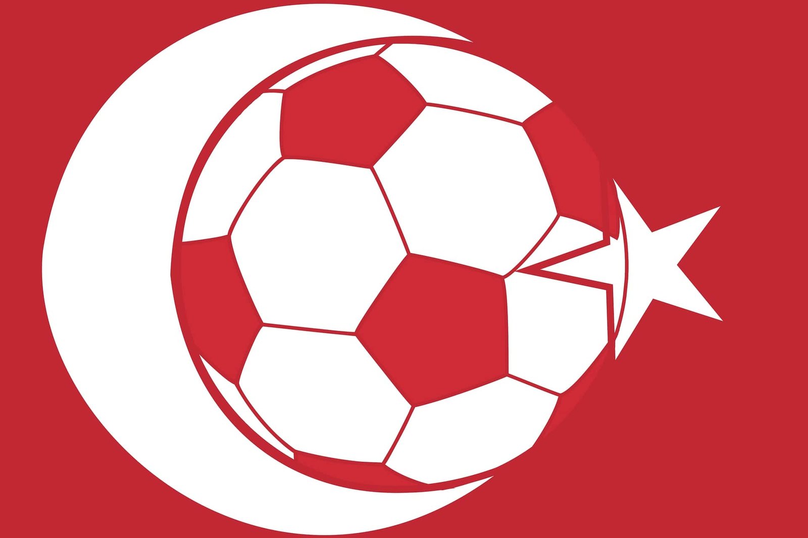 Güncel Türk Milli Futbol Takımı Kadrosu